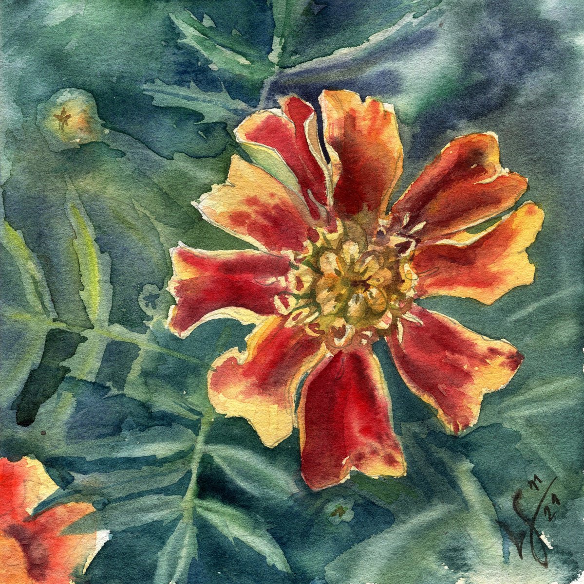 Impressionistic Botanical Watercolour By Svitlana Lagutina, 7 X 7", Autumn Marigold, Original Artwork
