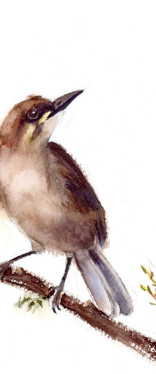 The bird on the branch by Olga Tchefranov (Shefranov)