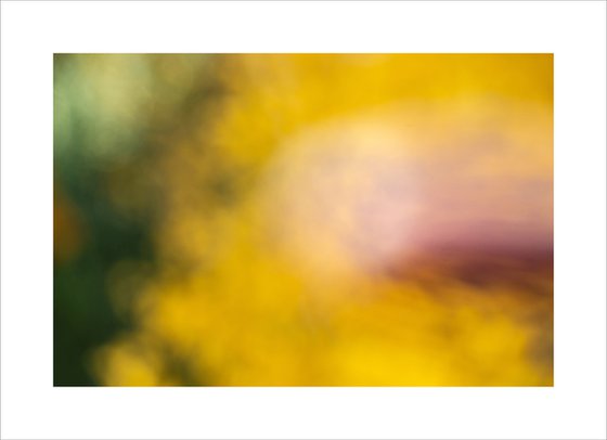 abstract - Beautiful Colors #6