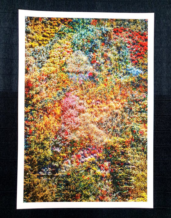 Wall of Nature I