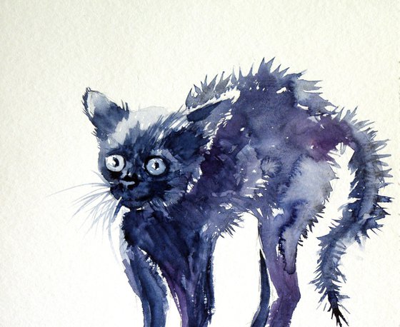 Cute kitten