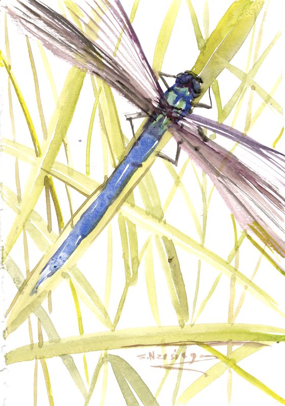 Dragonfly