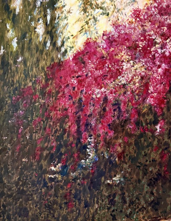 Bougainvillea