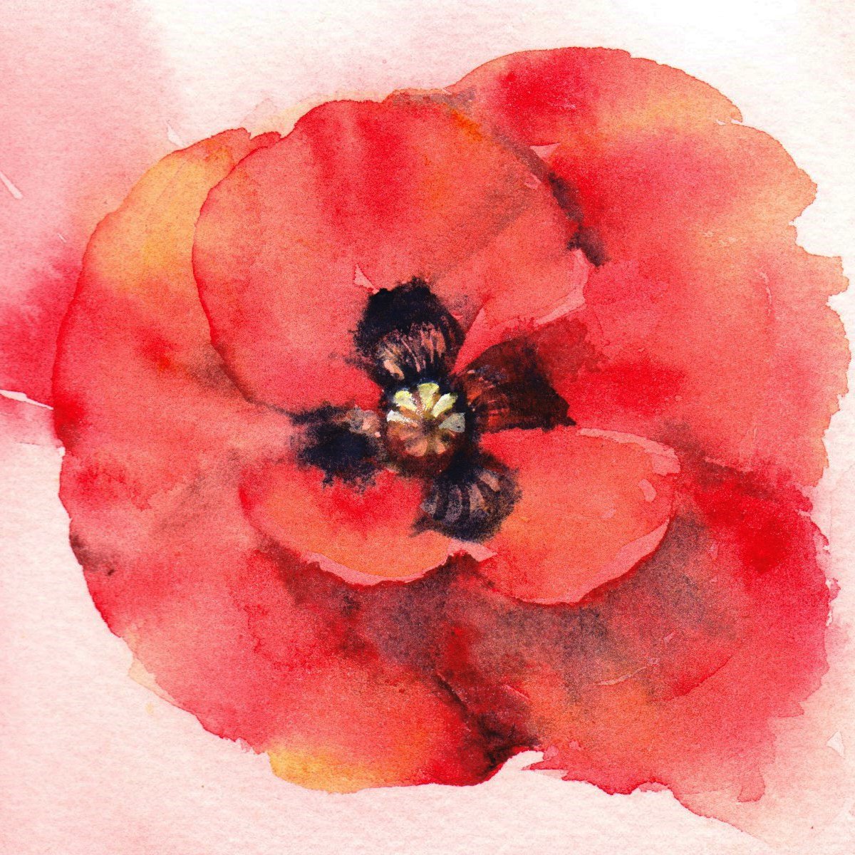 Poppy Painting, Floral Painting, Floral Wall Art, Flower Painting, Watercolour, watercolor... by Anjana Cawdell