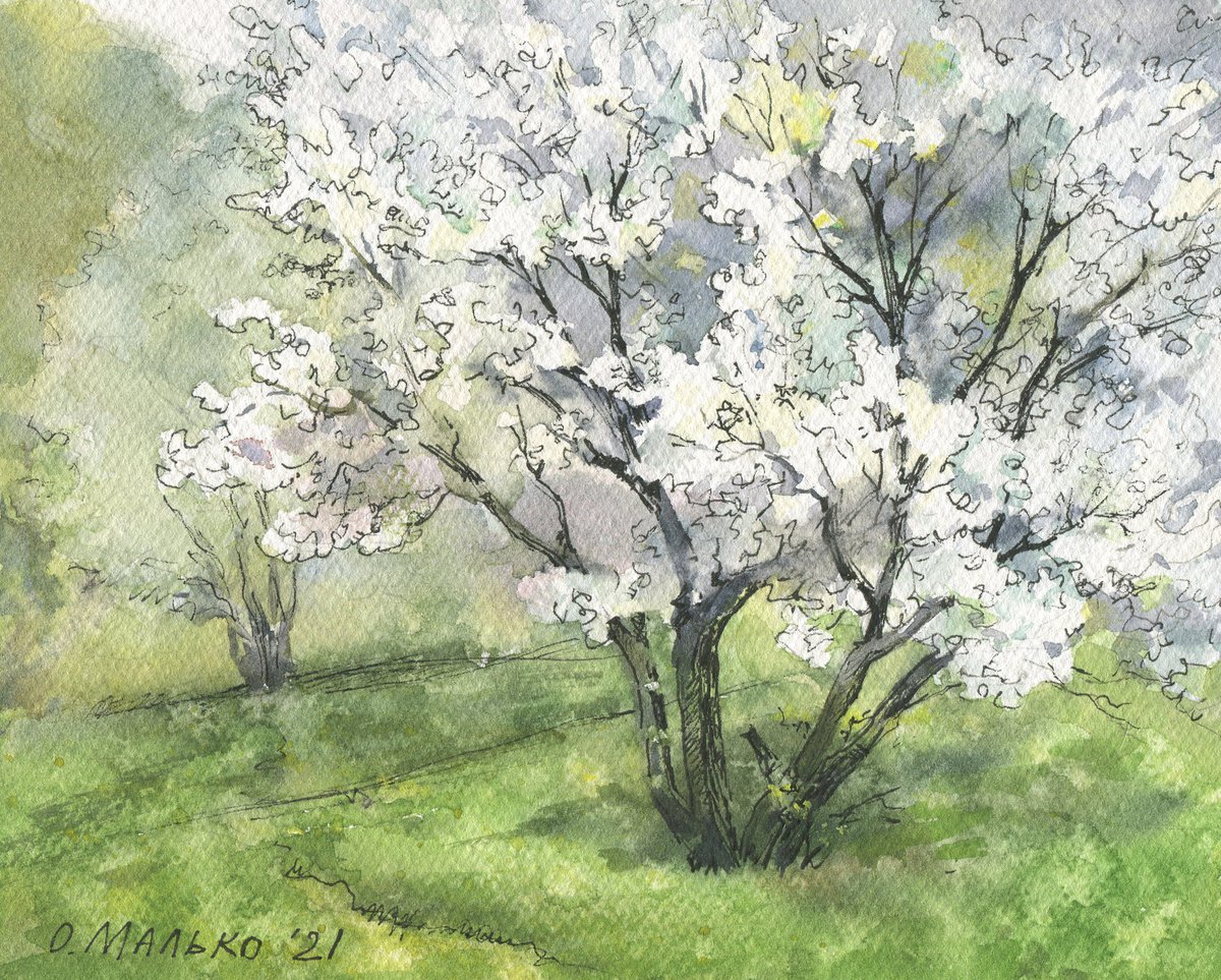 Spring again. The splatter of a rain / Original watercolor landscape. Blooming tree pictur... by Olha Malko