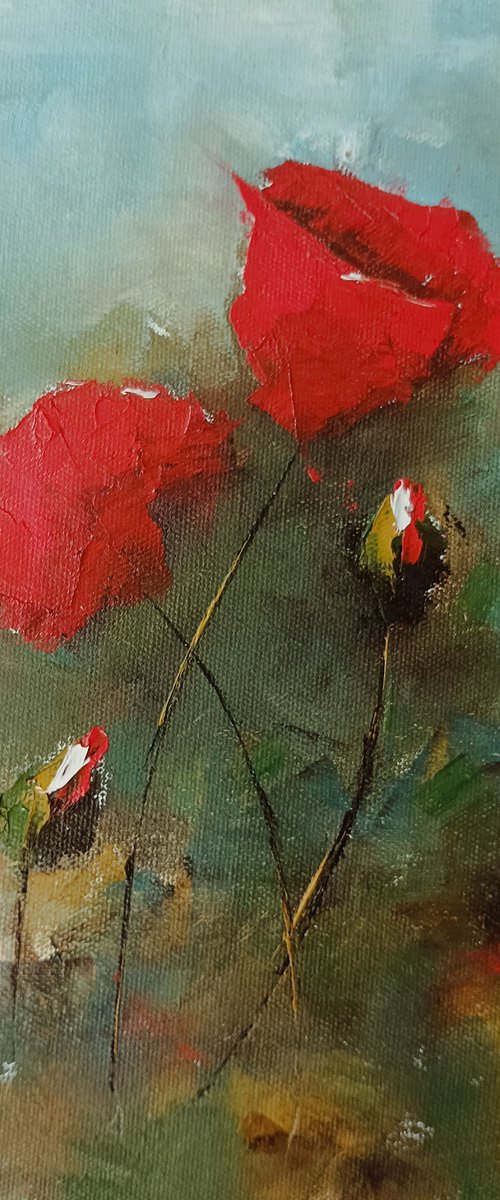 Red poppy flowers 2 by Marinko Šaric