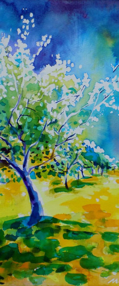 Stormy sky over orchard by Maja Grecic