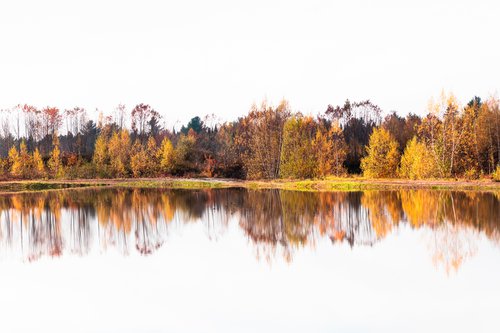 Autumn Reflections by Cristina Stefan