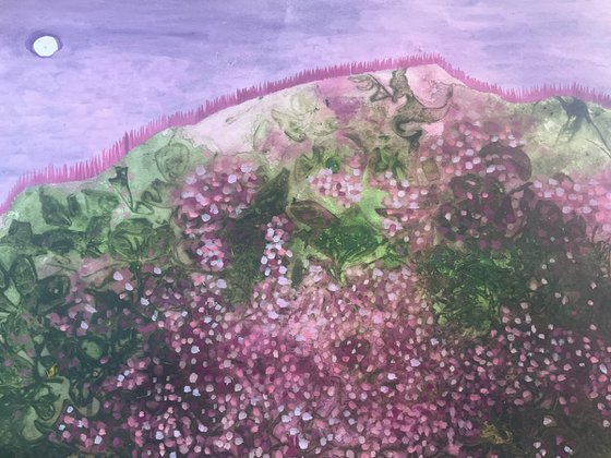 Where the wild roses grow