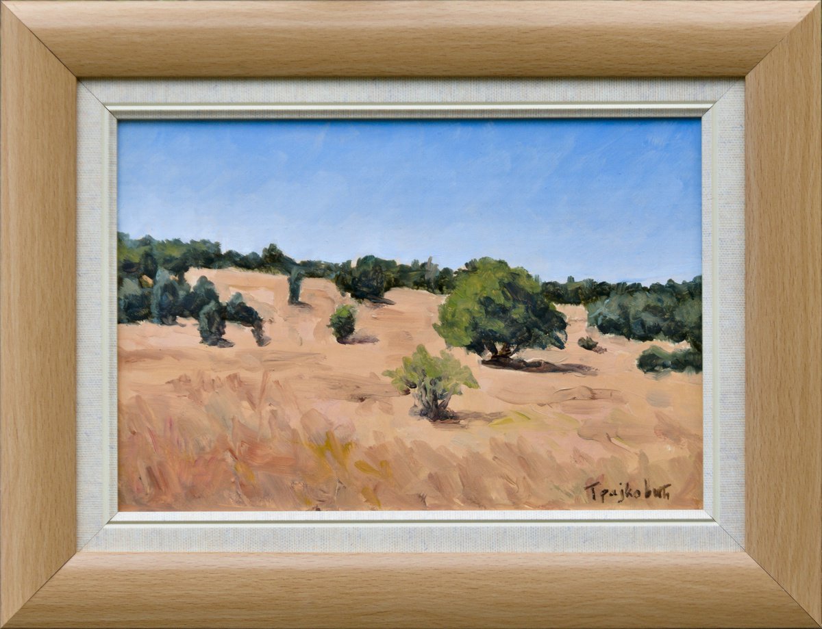 Impressionistic Landscape Oil Painting By Dejan Trajkovic, 13 X 9, Where Do We Go, Original Artwork