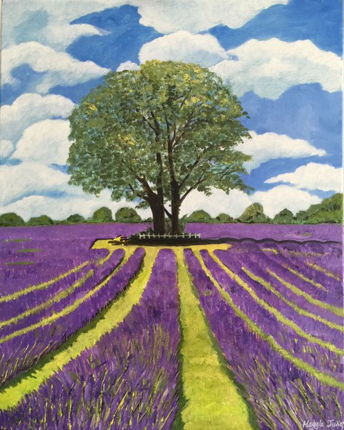 THE LAVENDER FIELDS - CARSHALTON by MAGGIE  JUKES