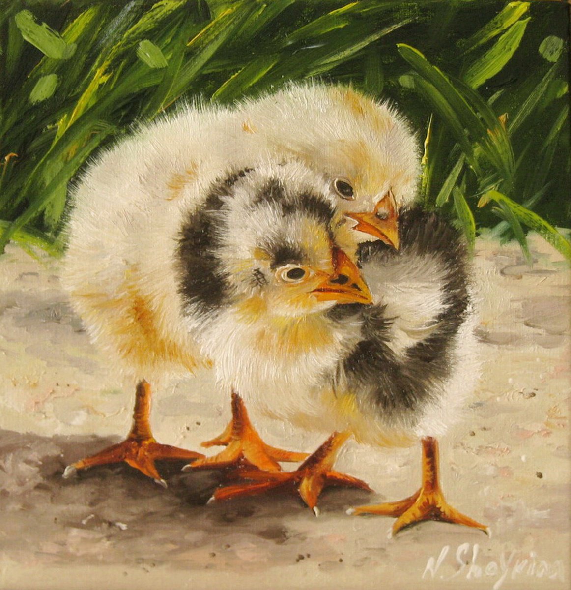 Impressionistic Animal Oil Painting By Natalia Shaykina, 8 X 8", Chickens, Original Artwork
