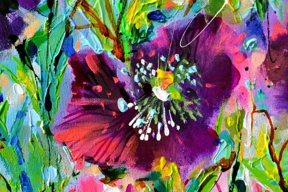 Opium Poppy Field, Purple Poppies