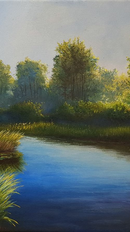 Never Ending Summer by Vladimir Jarmolo