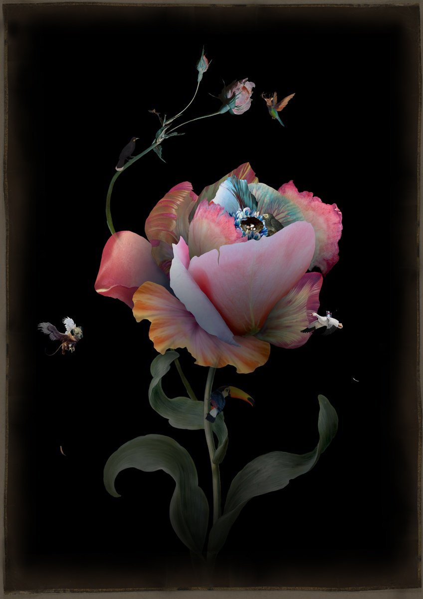 Surrealistic Botanical Giclee Print By Rosco Brittin, 17 X 23", Lover