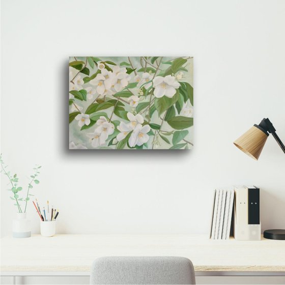 Orange Blossoms