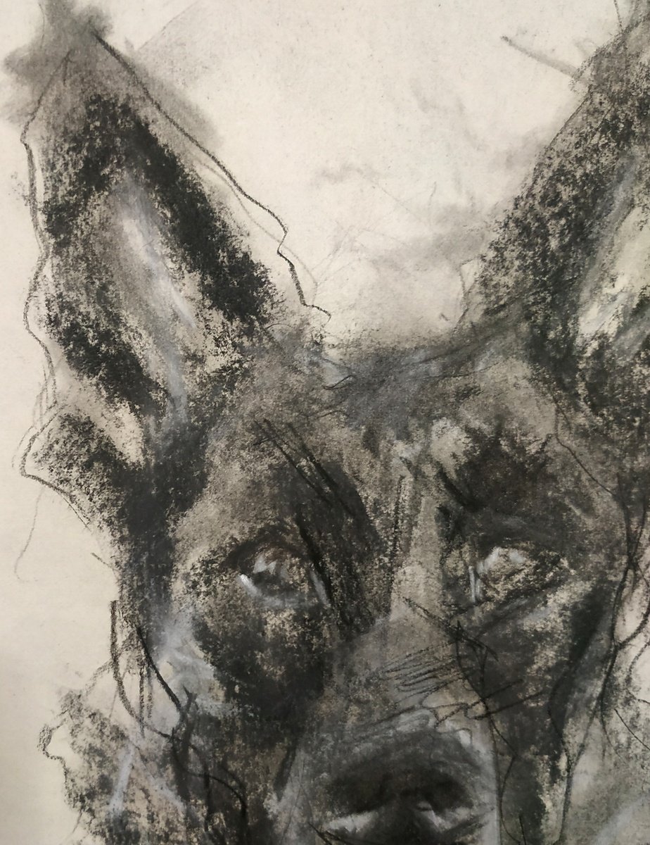 Impressionistic Animal Charcoal Drawing By Sbboursot, 8 X 11", Treat, Original Artwork