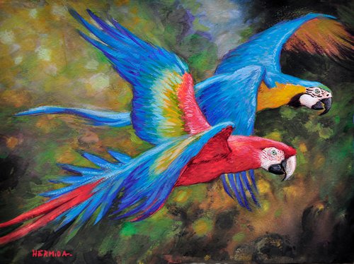 Macaws by Gabriel Hermida