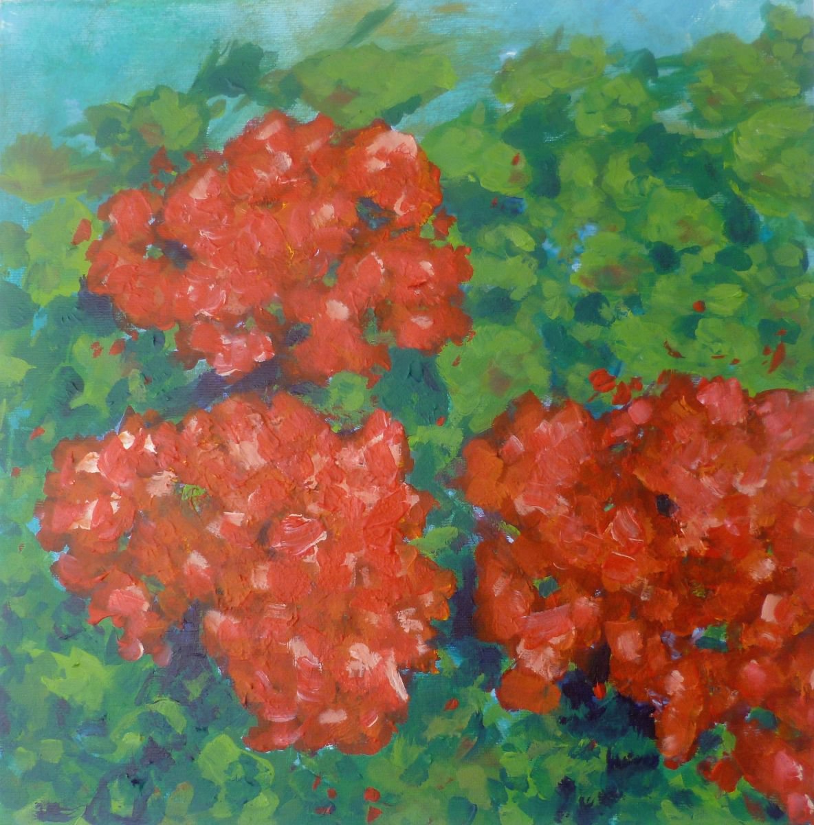 Andalucian Geraniums by Suzy K
