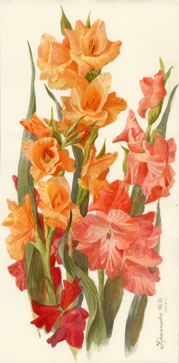 Photorealistic Botanical Watercolour By Yulia Krasnov, 11 X 22", Multicolored Gladioli, Original Artwork