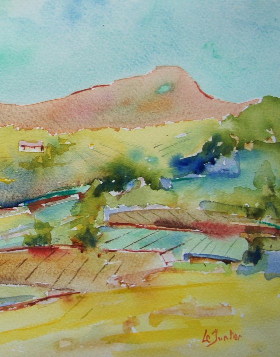 Mountain in southern France