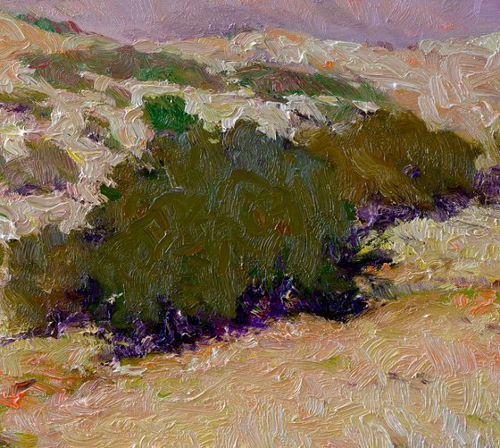 Summer Morning. California Mountains