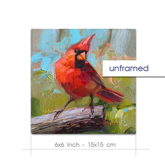 Cardinal bird