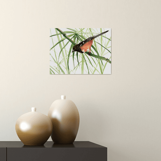 Eastern Towhee Bird