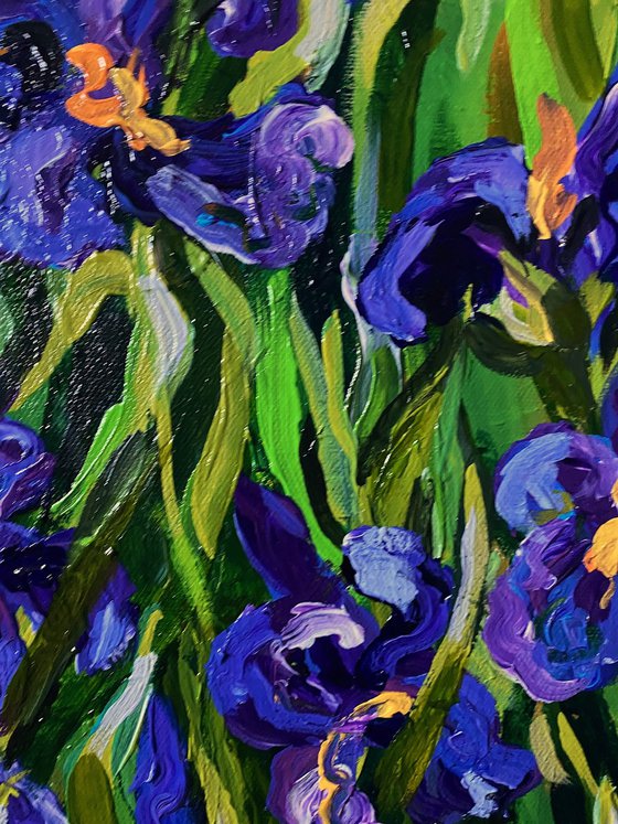 Purple Irises