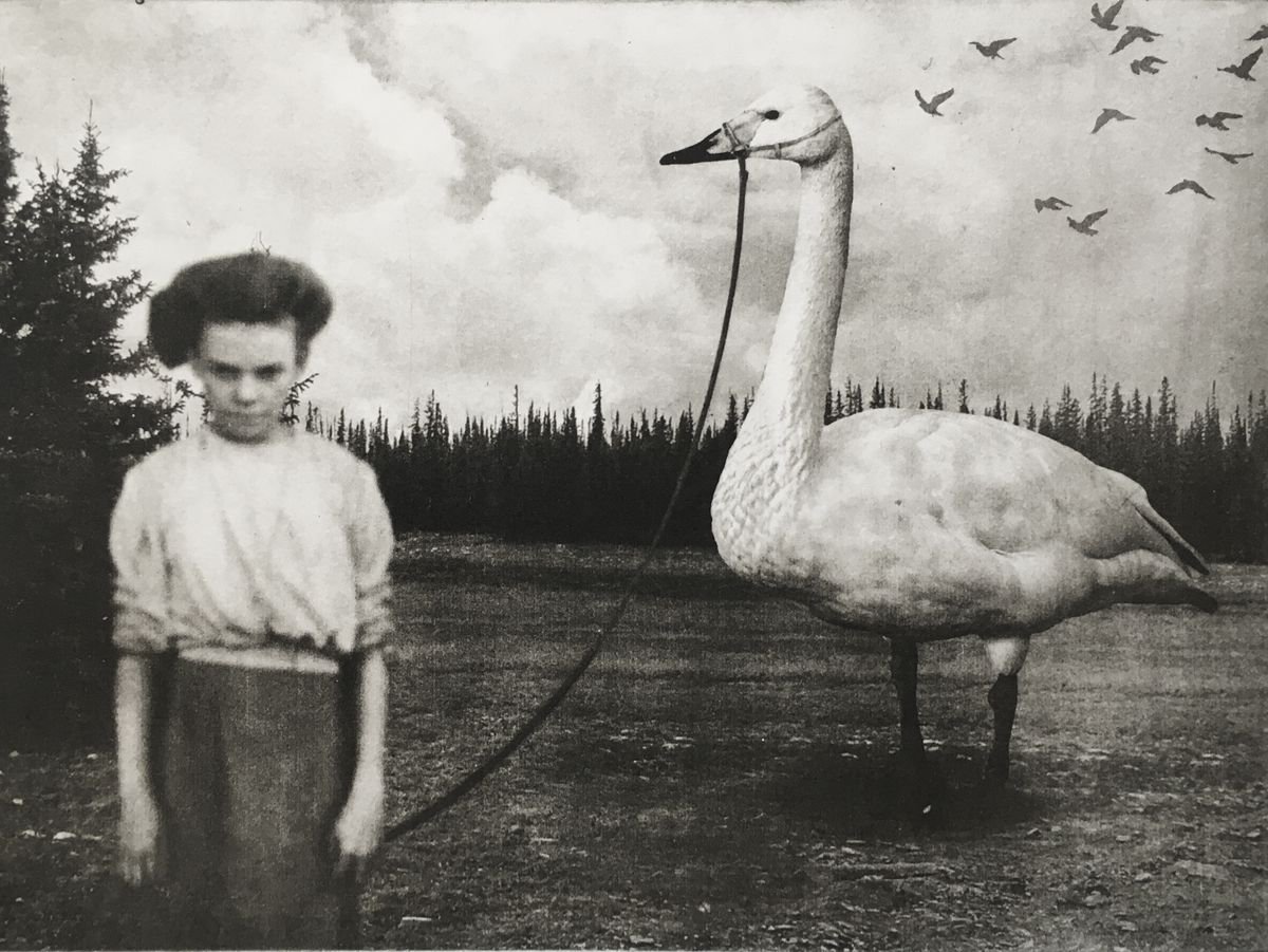 Exterior No. 3: Her Swan by Jaco Putker