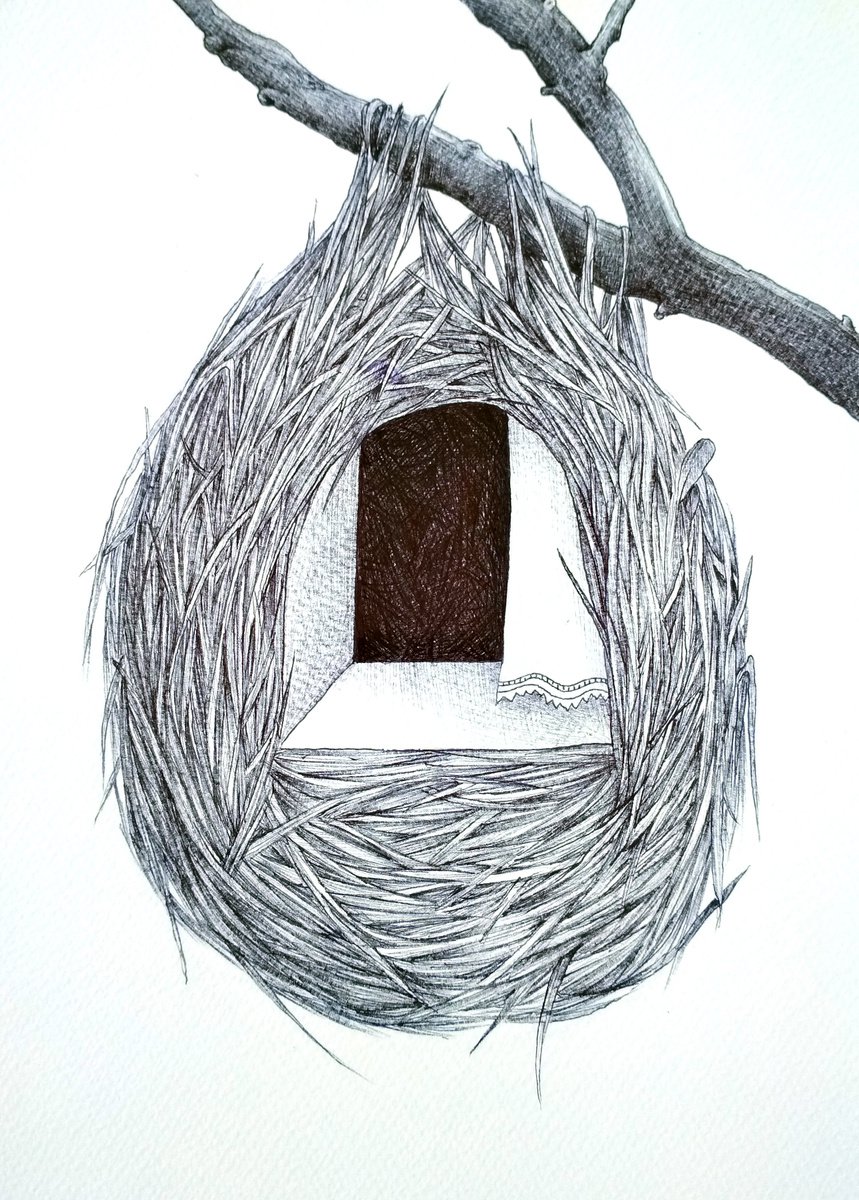 A simple nest by Andromachi Giannopoulou