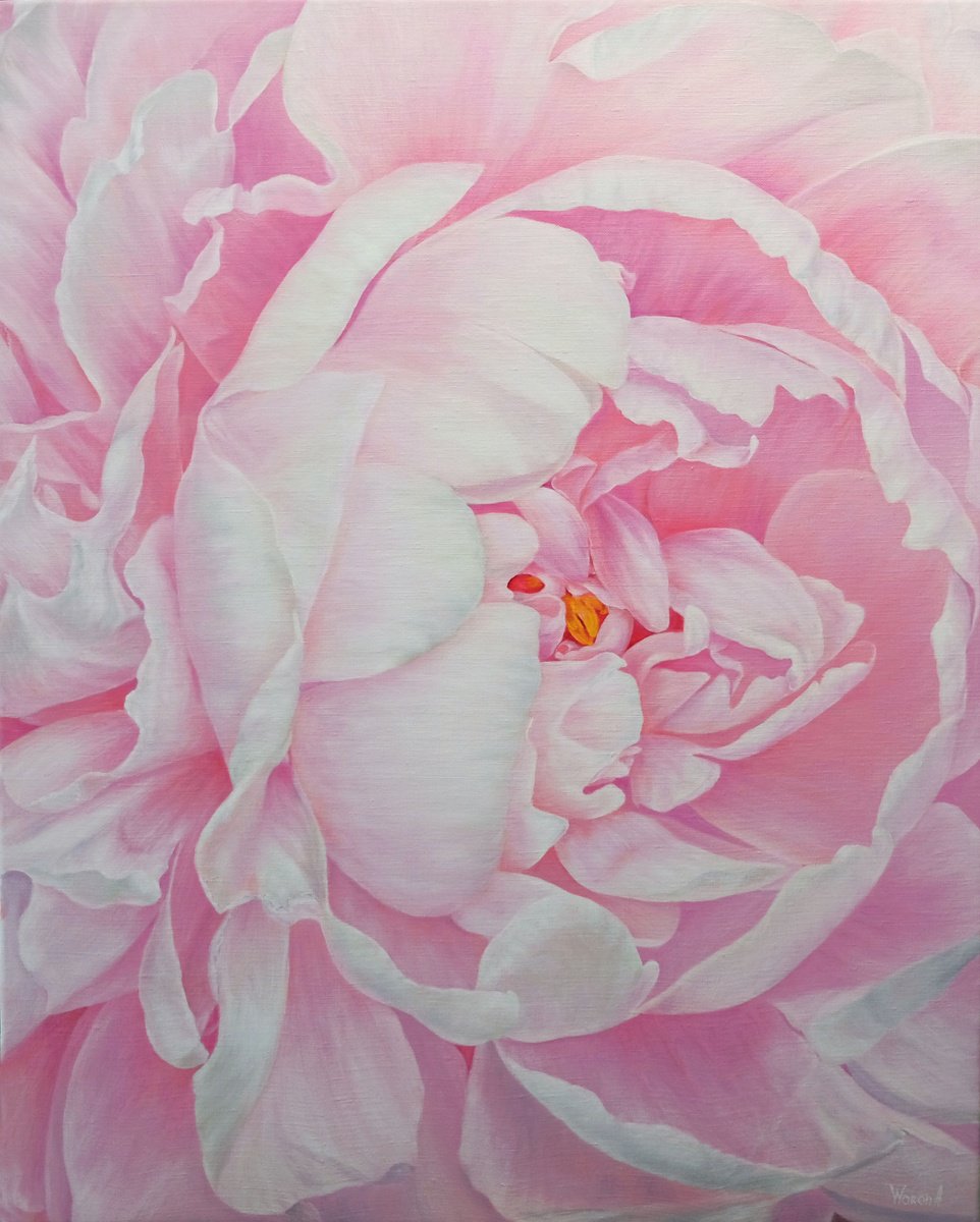 Photorealistic Botanical Oil Painting By Anastasia Woron, 24 X 31, Divine Peony, Original Artwork