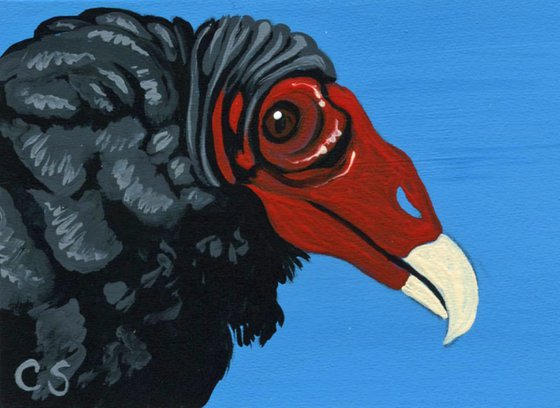 ACEO ATC Original Miniature Painting Turkey Vulture Bird Wildlife Art-Carla Smale