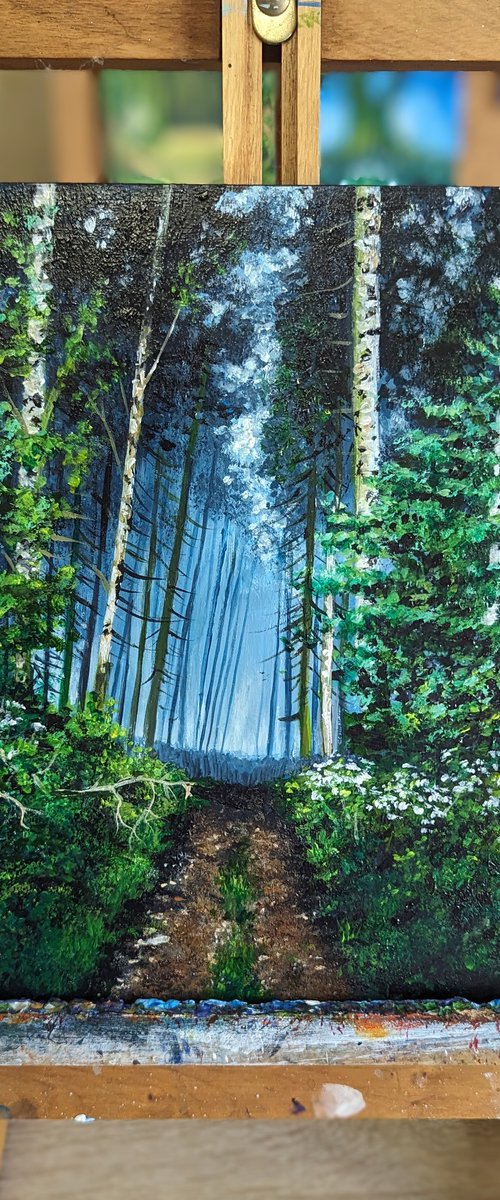 birch tree forest by Linzi Fay