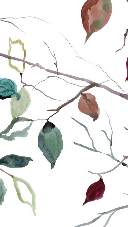 Branch Study No. 39 by Elizabeth Becker