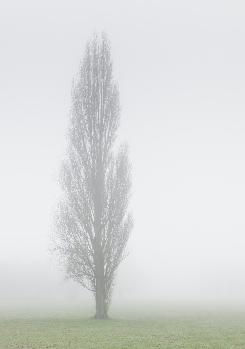 Impressionistic Landscape Photograph By Tom Hanslien, 33 X 47", London Fog Vi, Original Artwork