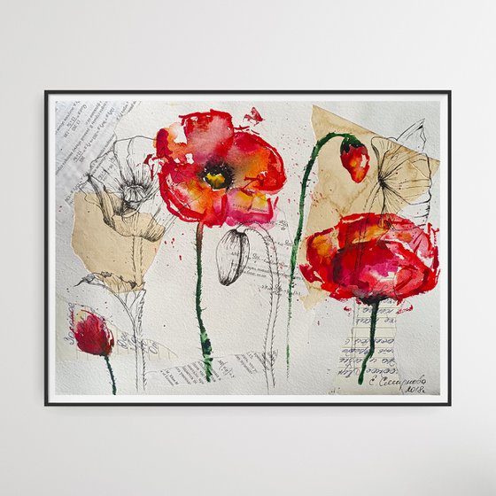 Poppy Flower Collage