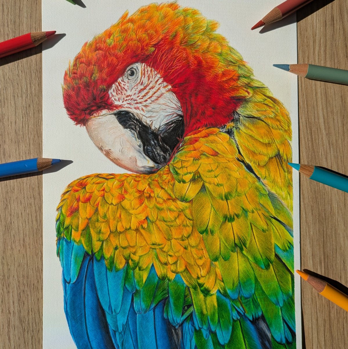 Photorealistic Pencil Drawing , Jungle Prism By Annika Schmitt, 8 X 12, Artwork For Sale On Artfinder