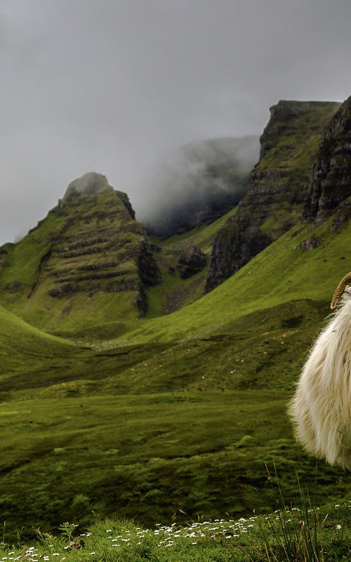 The King of Scotland by Cédric Brion