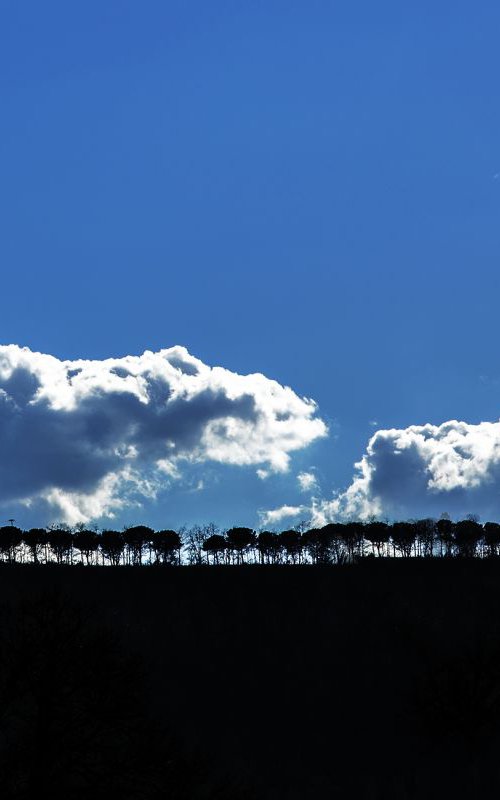 Tuscany Silhouette by Chiara Vignudelli