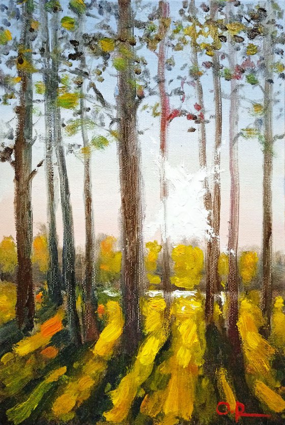 Impression. Autumn morning