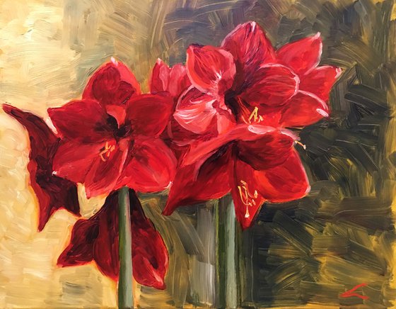 Amaryllis