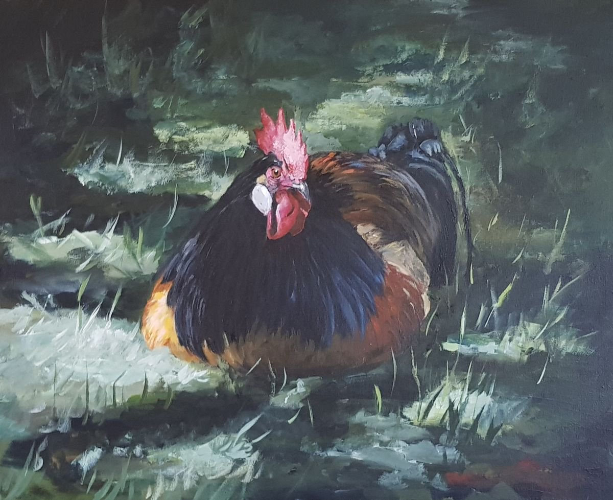 Rooster by Britta Kroger