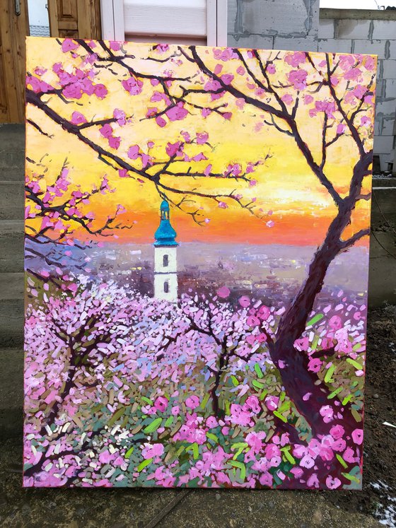 Spring in Prague. Sunset