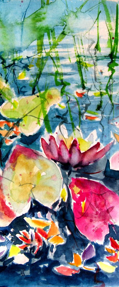 Water lilies collection II by Kovács Anna Brigitta