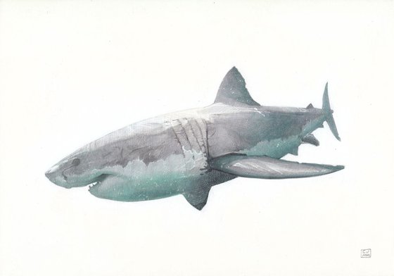Great White Shark 01 - Sold