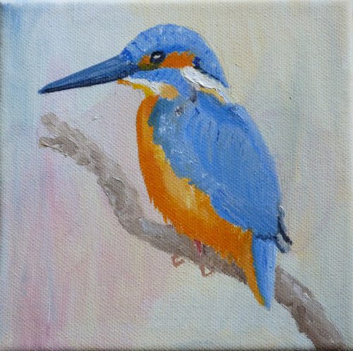 Kingfisher by Maddalena Pacini