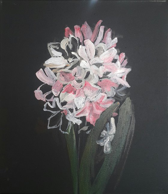 Hyacinth spring art