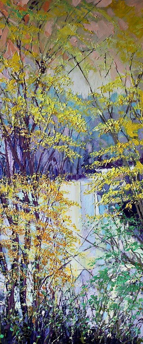 Early Spring Trees by Simon Jones