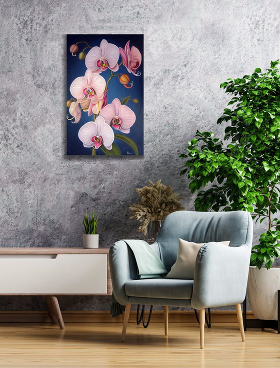 "Orchid Elegance"